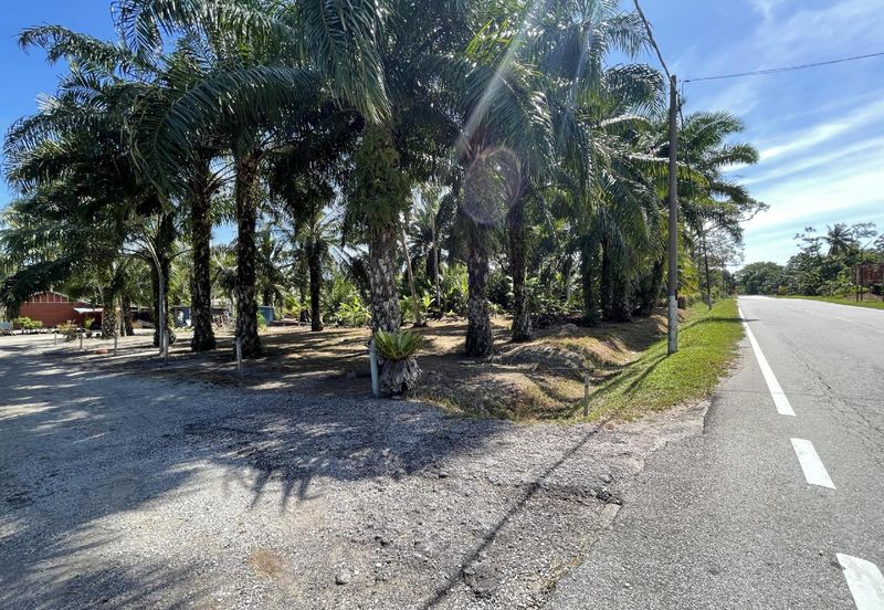 1.9 Ekar Tanah Pertanian Tepi Pantai Batu Laut 