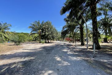 1.9 Ekar Tanah Pertanian Tepi Pantai Batu Laut 