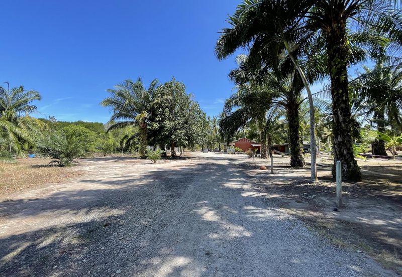 1.9 Ekar Tanah Pertanian Tepi Pantai Batu Laut 