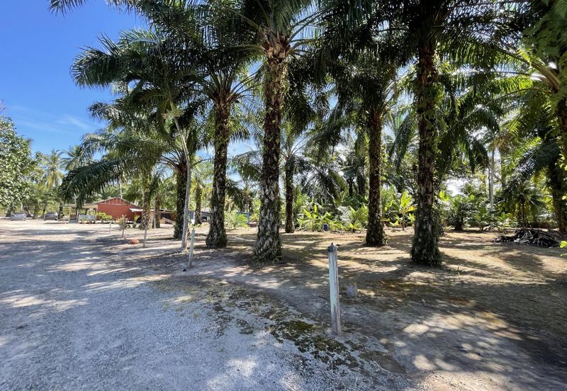 1.9 Ekar Tanah Pertanian Tepi Pantai Batu Laut 