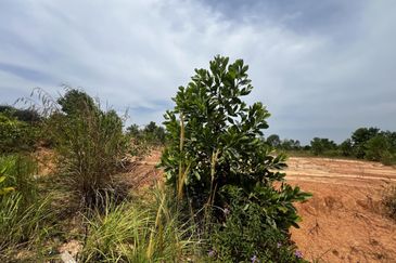 MURAH Tanah Lot Banglo Kg Labu Lanjut Sepang 