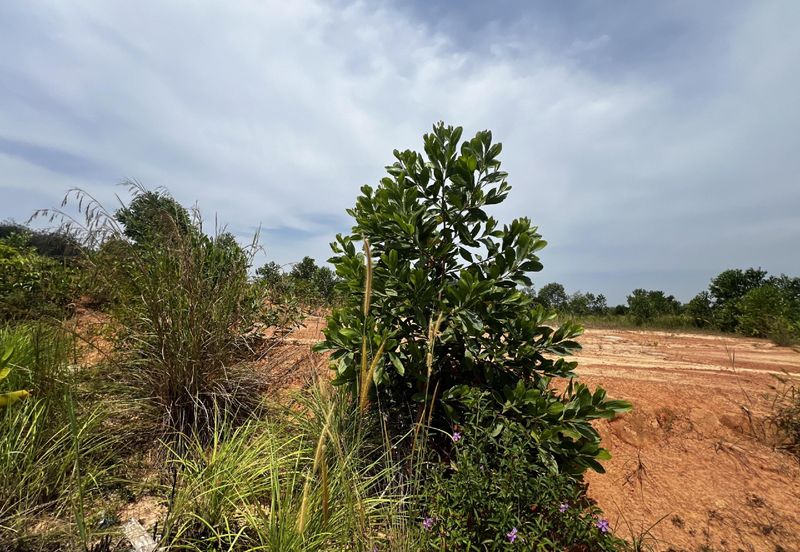 MURAH Tanah Lot Banglo Kg Labu Lanjut Sepang 