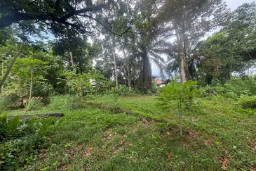 0.9 Ekar Tanah Pertanian Kg merbau Sempak Sg buloh