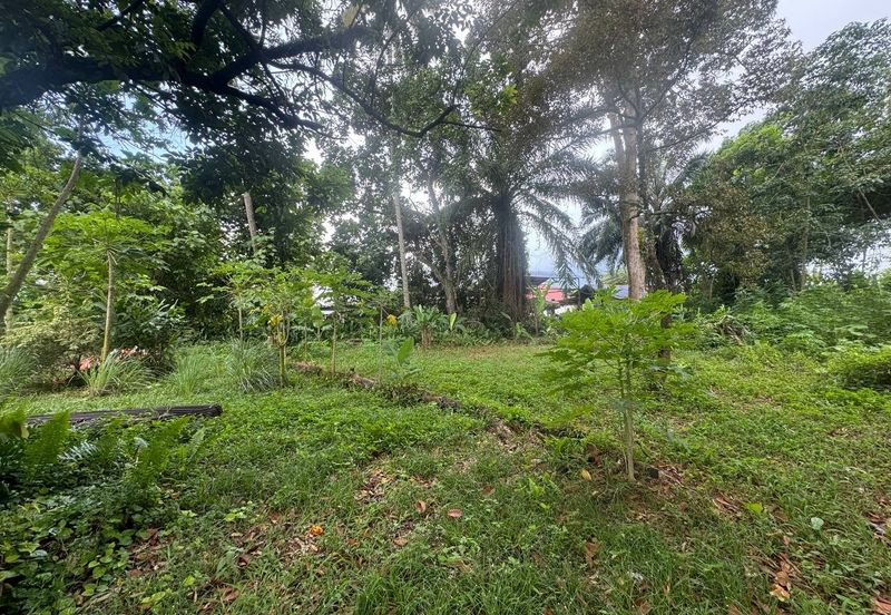 0.9 Ekar Tanah Pertanian Kg merbau Sempak Sg buloh