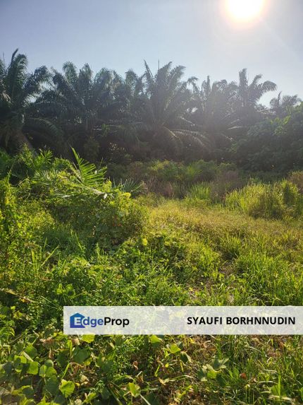 Tanah Strategik Rancangan Tanah Labu Lanjut Sepang , Selangor, Sepang