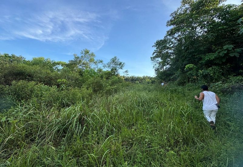 Below Market 2.5 Ekar Tanah Pertanian di Sg Bioh Lenggeng 