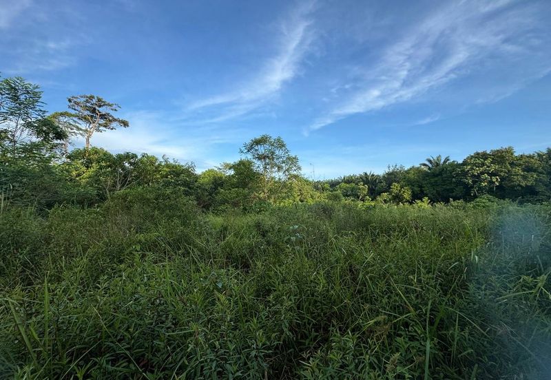 Below Market 2.5 Ekar Tanah Pertanian di Sg Bioh Lenggeng 