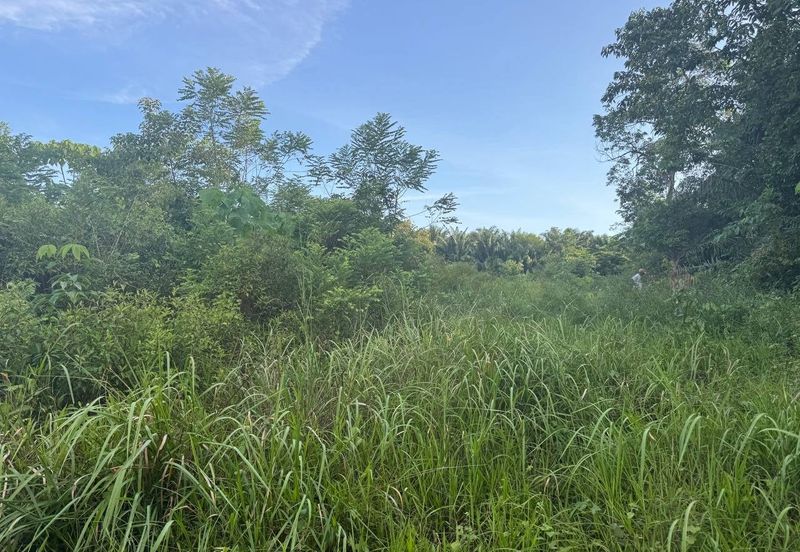 Below Market 2.5 Ekar Tanah Pertanian di Sg Bioh Lenggeng 