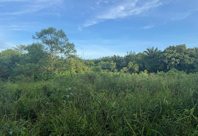 Below Market 2.5 Ekar Tanah Pertanian di Sg Bioh Lenggeng 