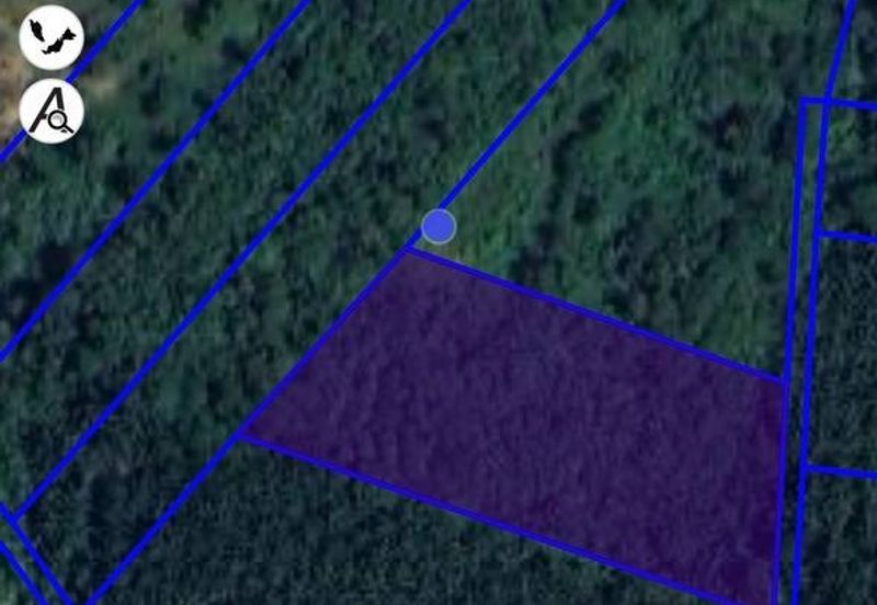 Below Market 2.5 Ekar Tanah Pertanian di Sg Bioh Lenggeng 