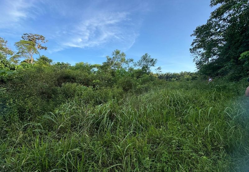 Below Market 2.5 Ekar Tanah Pertanian di Sg Bioh Lenggeng 