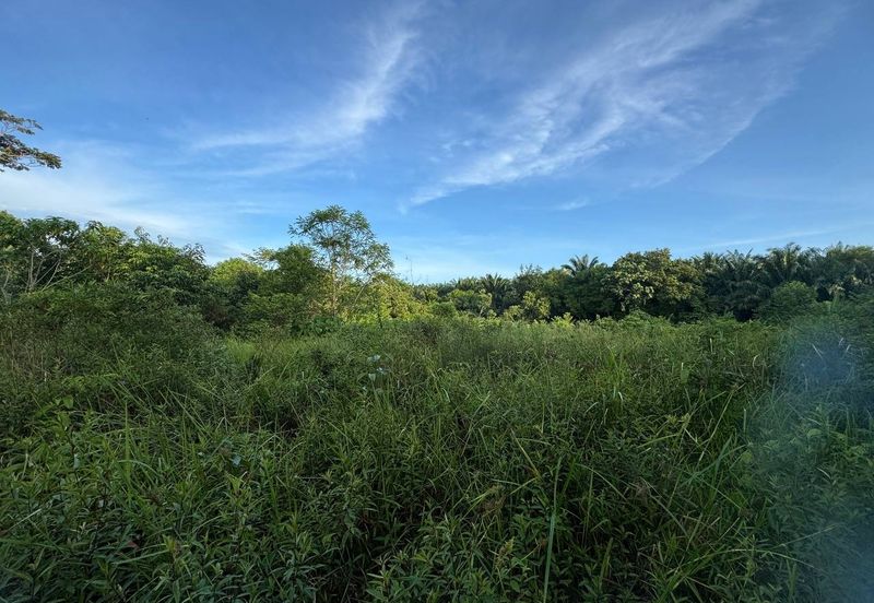 Below Market 2.5 Ekar Tanah Pertanian di Sg Bioh Lenggeng 