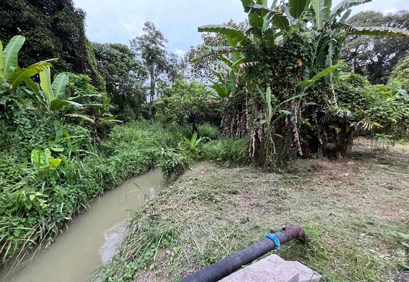 Tanah Pertanian Batu 17 Dusun Tua 