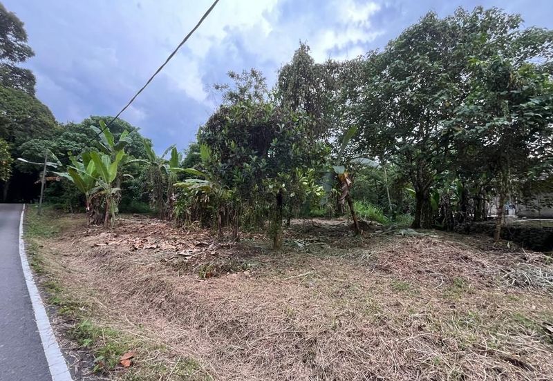 Tanah Pertanian Batu 17 Dusun Tua 