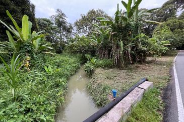 Tanah Pertanian Batu 17 Dusun Tua 