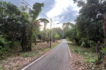 Tanah Pertanian Batu 17 Dusun Tua 