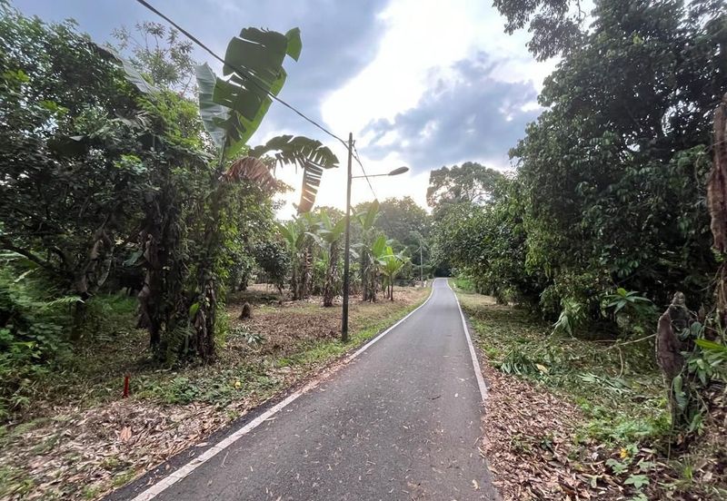 Tanah Pertanian Batu 17 Dusun Tua 