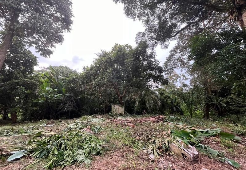 Tanah Pertanian Batu 17 Dusun Tua 