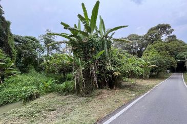 Tanah Pertanian Batu 17 Dusun Tua 