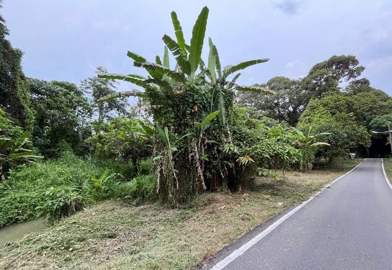 Tanah Pertanian Batu 17 Dusun Tua 