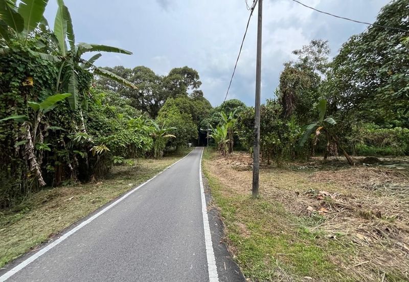 Tanah Pertanian Batu 17 Dusun Tua 