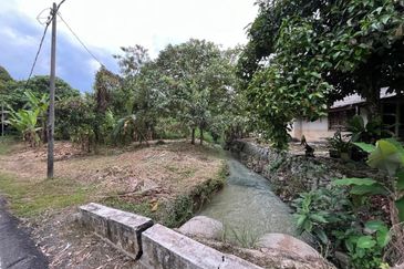 Tanah Pertanian Batu 17 Dusun Tua 