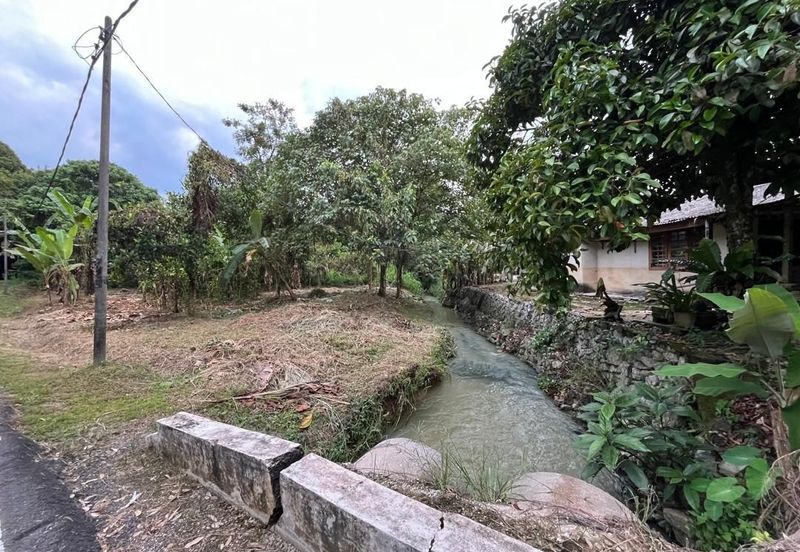 Tanah Pertanian Batu 17 Dusun Tua 