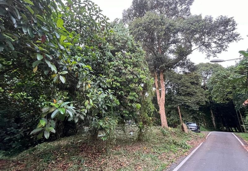 Tanah Pertanian Batu 17 Dusun Tua 