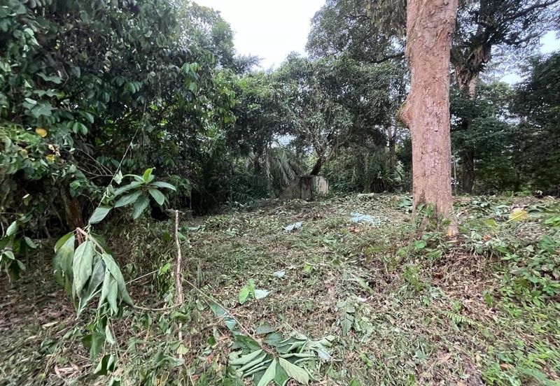 Tanah Pertanian Batu 17 Dusun Tua 