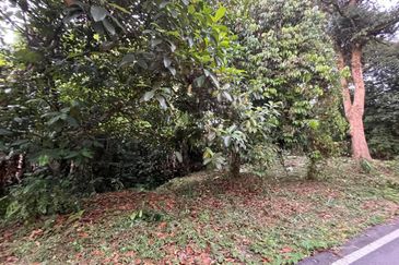 Tanah Pertanian Batu 17 Dusun Tua 