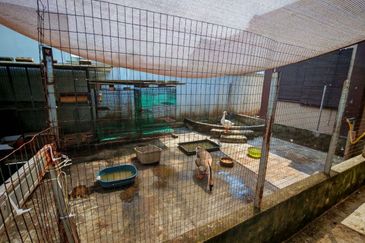 Single Storey Bungalow Taman Desa Hanco Sungai Lalang