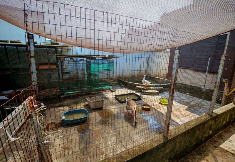 Single Storey Bungalow Taman Desa Hanco Sungai Lalang