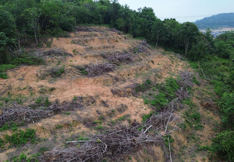 1.3 EKAR TANAH PERTANIAN CANTIK Sesapan Batu Kelubi Beranang 