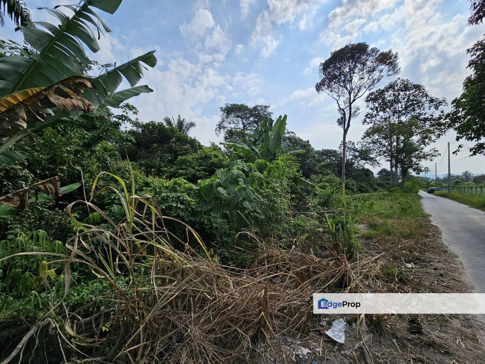 Tanah Pertanian Zoning Kediaman Sungai Jai Beranang Sebelah Mahkota Hill, Selangor, Beranang