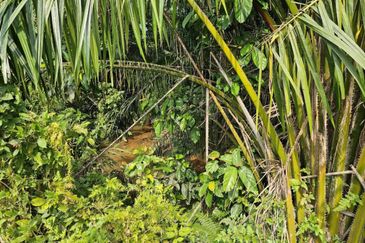 Tanah Pertanian Zoning Kediaman Sungai Jai Beranang Sebelah Mahkota Hill