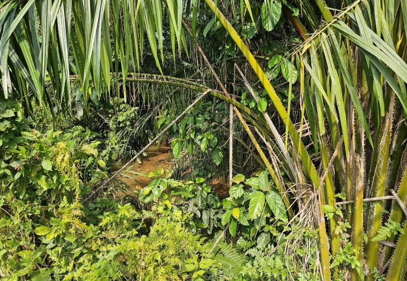 Tanah Pertanian Zoning Kediaman Sungai Jai Beranang Sebelah Mahkota Hill