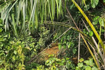 Tanah Pertanian Zoning Kediaman Sungai Jai Beranang Sebelah Mahkota Hill