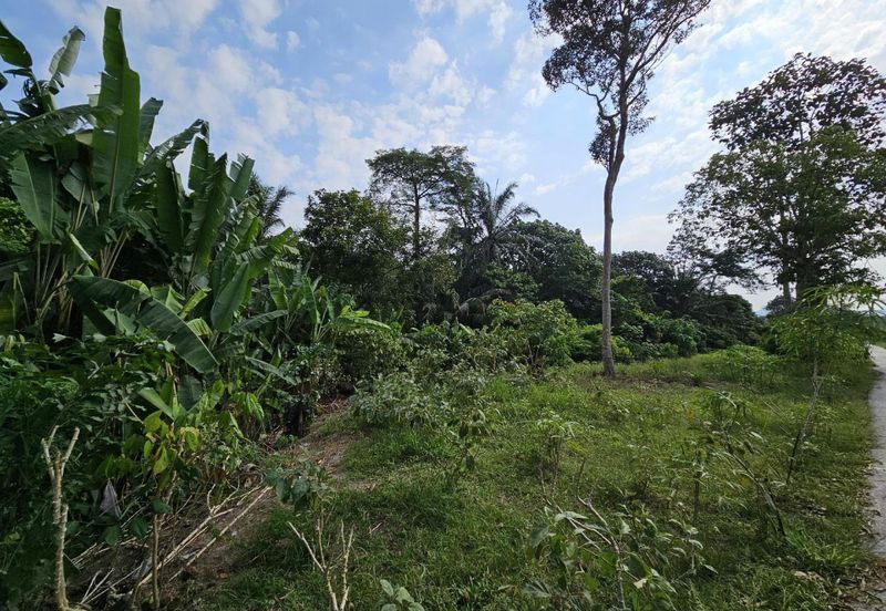Tanah Pertanian Zoning Kediaman Sungai Jai Beranang Sebelah Mahkota Hill