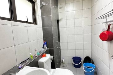 Setia Warisan Tropika (Belladonna)