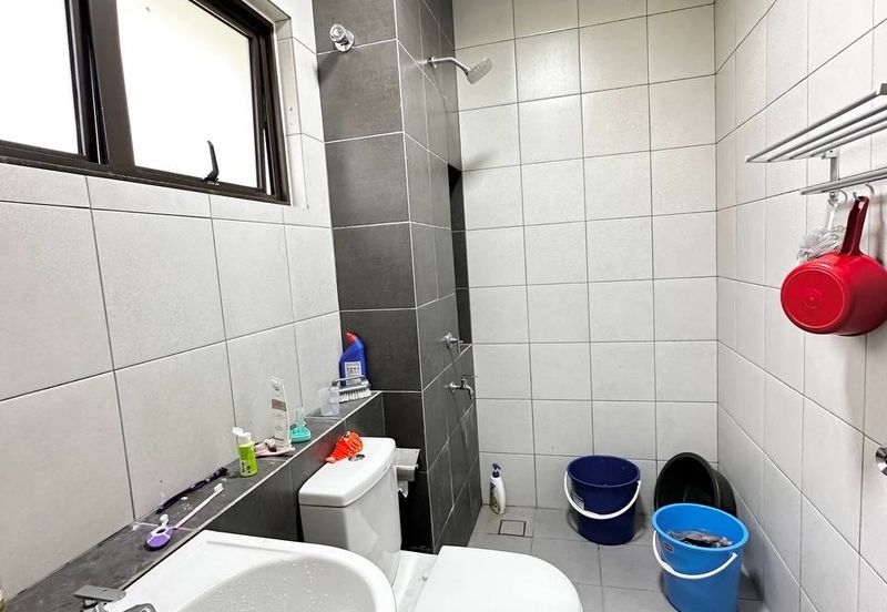 Setia Warisan Tropika (Belladonna)