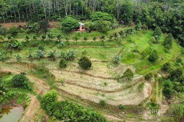 [6 EKAR] Agriculture Land Ulu Rening @ Batang Kali, Selangor