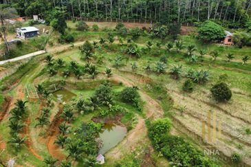 [6 EKAR] Agriculture Land Ulu Rening @ Batang Kali, Selangor