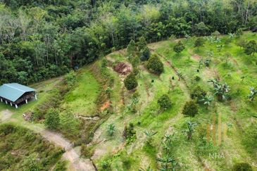 [6 EKAR] Agriculture Land Ulu Rening @ Batang Kali, Selangor
