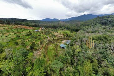 [6 EKAR] Agriculture Land Ulu Rening @ Batang Kali, Selangor