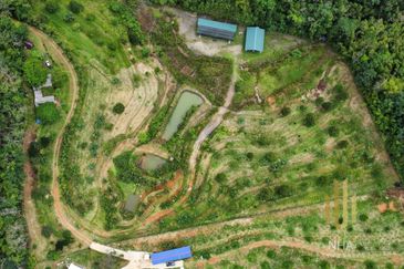 [6 EKAR] Agriculture Land Ulu Rening @ Batang Kali, Selangor