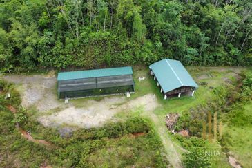 [6 EKAR] Agriculture Land Ulu Rening @ Batang Kali, Selangor