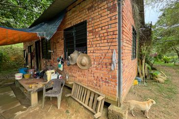 [6 EKAR] Agriculture Land Ulu Rening @ Batang Kali, Selangor