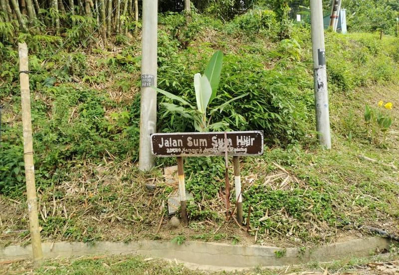 Janda Baik