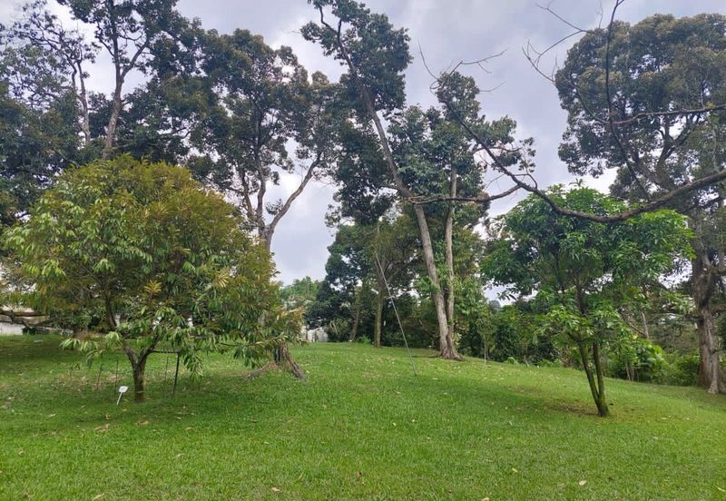 Bukit Cherakah