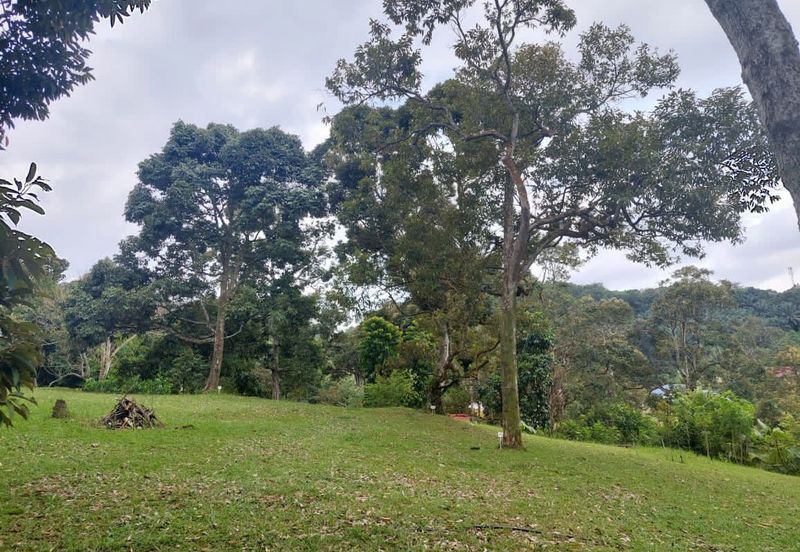 Bukit Cherakah
